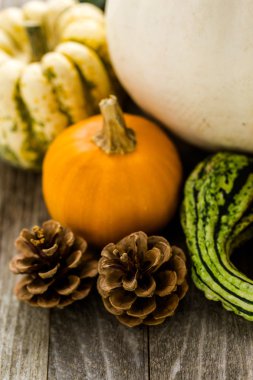 Taze organik kabaklar