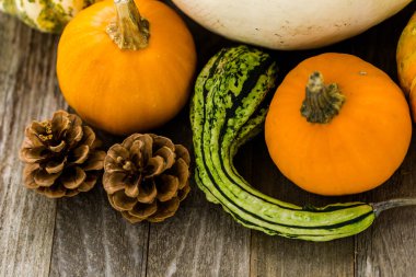 Taze organik kabaklar