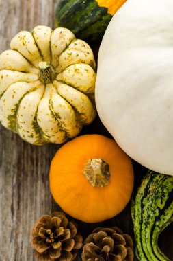 Taze organik kabaklar