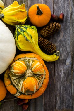 Taze organik kabaklar