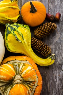 Taze organik kabaklar