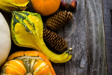 Taze organik kabaklar