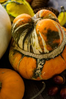 Taze organik kabaklar