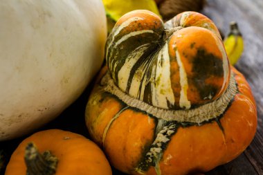 Taze organik kabaklar