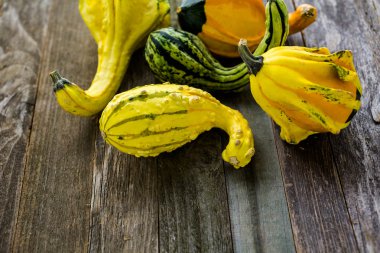 Taze organik kabaklar