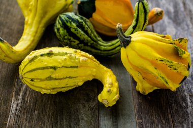 Taze organik kabaklar