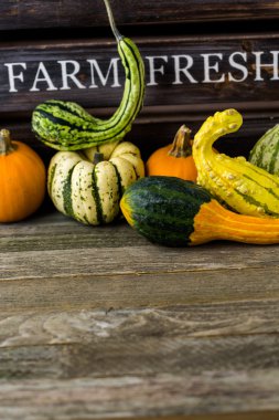 Taze organik kabaklar