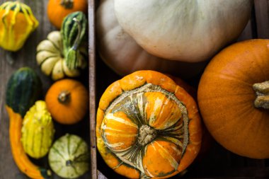 Taze organik kabaklar