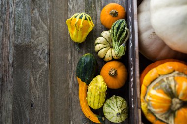 Taze organik kabaklar