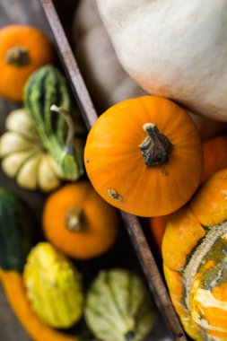 Taze organik kabaklar