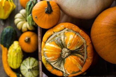 Taze organik kabaklar