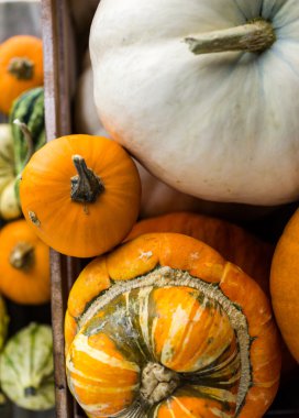 Taze organik kabaklar