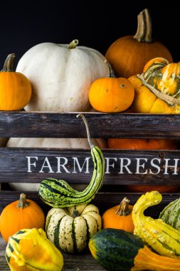 Taze organik kabaklar
