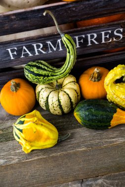 Taze organik kabaklar