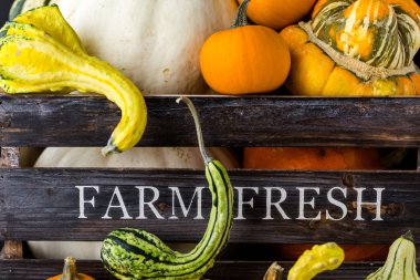 Taze organik kabaklar