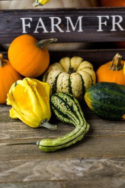 Taze organik kabaklar