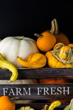 Taze organik kabaklar