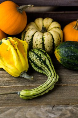 Taze organik kabaklar