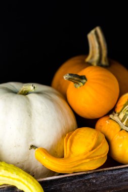 Taze organik kabaklar