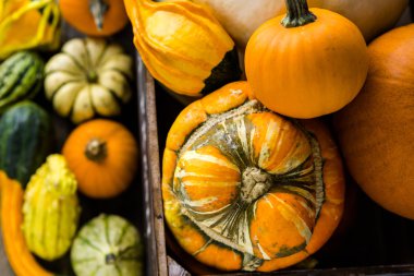 Taze organik kabaklar