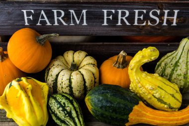 Taze organik kabaklar