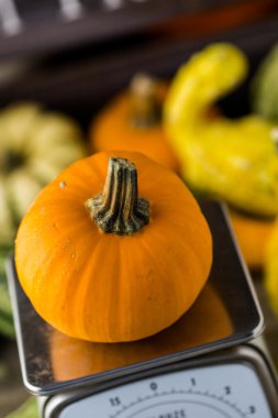 Taze organik kabaklar