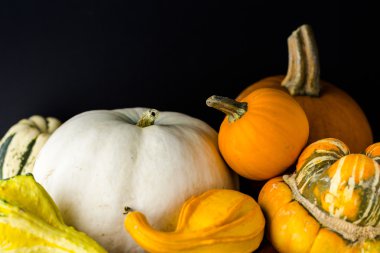 Taze organik kabaklar