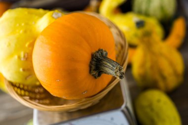 Taze organik kabaklar