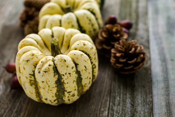 Healthy organic Pumpkins — Stock Photo, Image