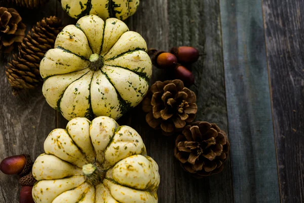 Calabazas orgánicas saludables —  Fotos de Stock