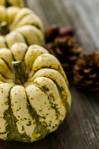 Calabazas orgánicas saludables — Foto de Stock