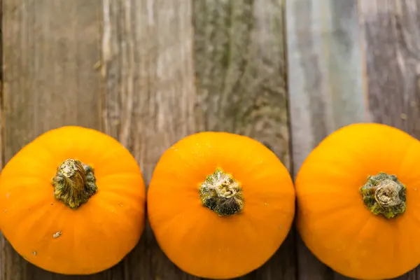 Calabazas de naranja orgánica —  Fotos de Stock