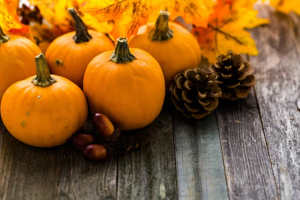 Calabazas de naranja orgánica —  Fotos de Stock