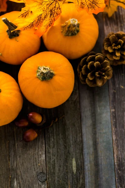 Organic orange Pumpkins — Stock Photo, Image