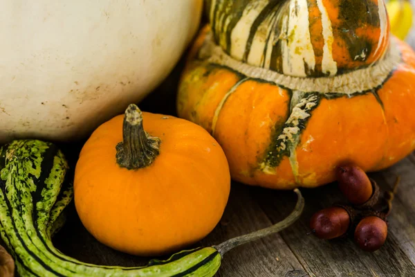 Zucche biologiche fresche — Foto Stock