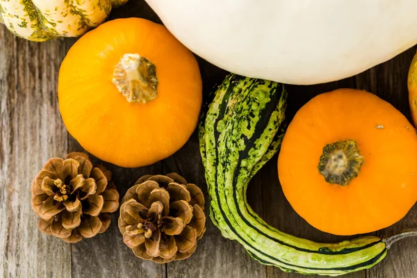 Taze organik kabaklar