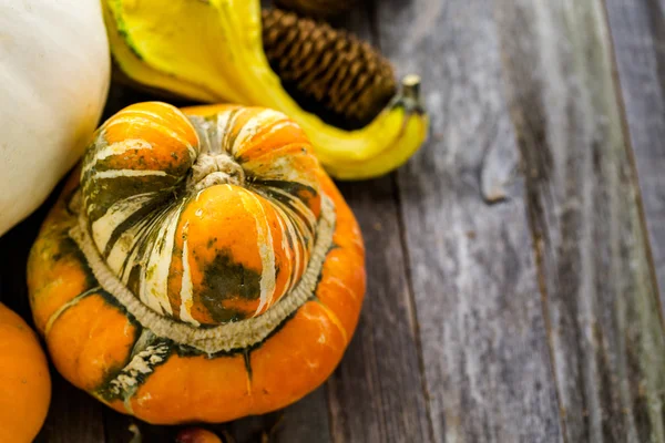 Taze organik kabaklar