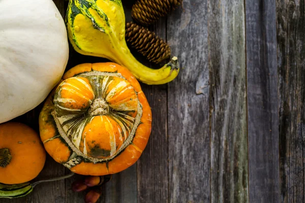 Fresh organic pumpkins — Stock Photo, Image