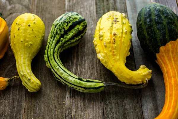 Organic pumpkins — Stock Photo, Image