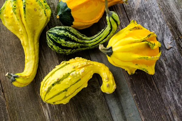 Calabazas orgánicas frescas — Foto de Stock