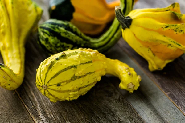 Calabazas orgánicas frescas — Foto de Stock