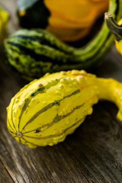 Taze organik kabaklar