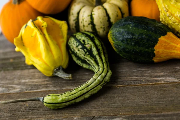 Calabazas orgánicas frescas — Foto de Stock