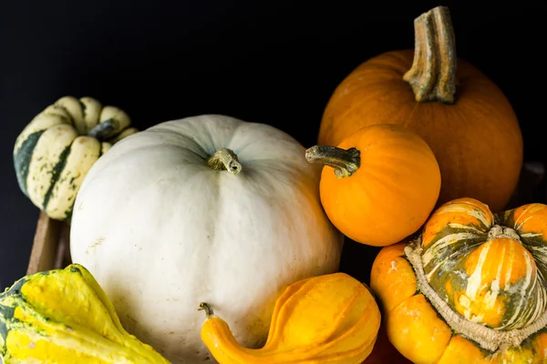 Calabazas orgánicas frescas —  Fotos de Stock