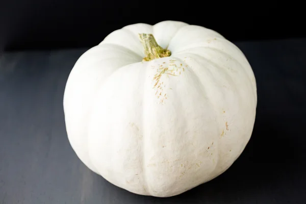 Calabaza blanca — Foto de Stock