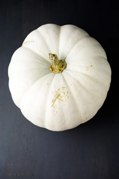 Calabaza blanca — Foto de Stock