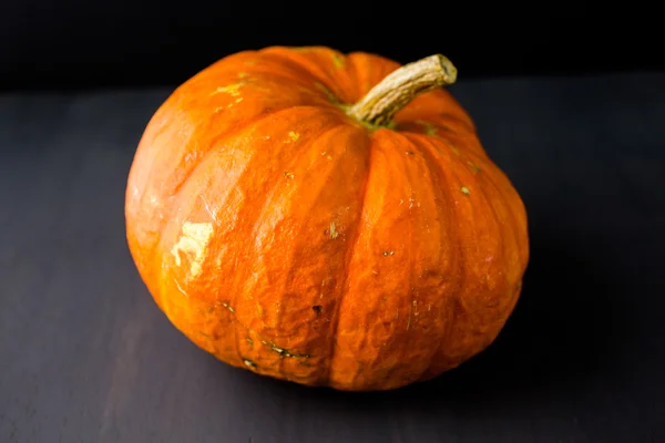 Orange pumpa — Stockfoto