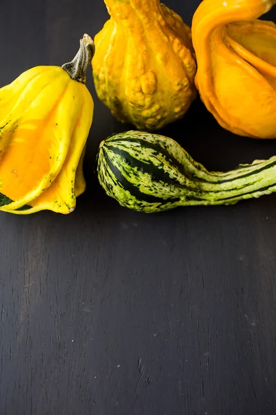 Calabaza miniatura — Foto de Stock