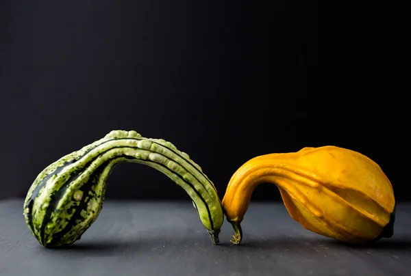 Miniature gourd — Stock Photo, Image