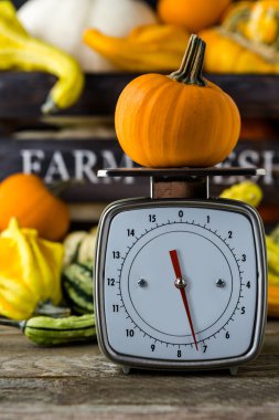 Turuncu kabak ölçeklerde